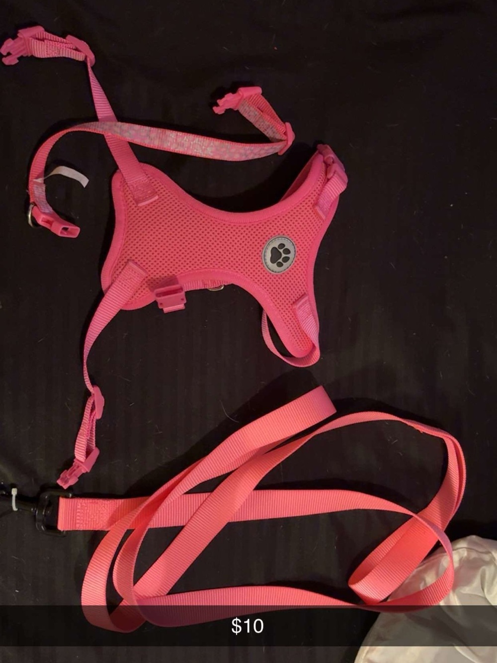 Pink Mesh Dog Harness and Matching Leash Set - Paw Accent